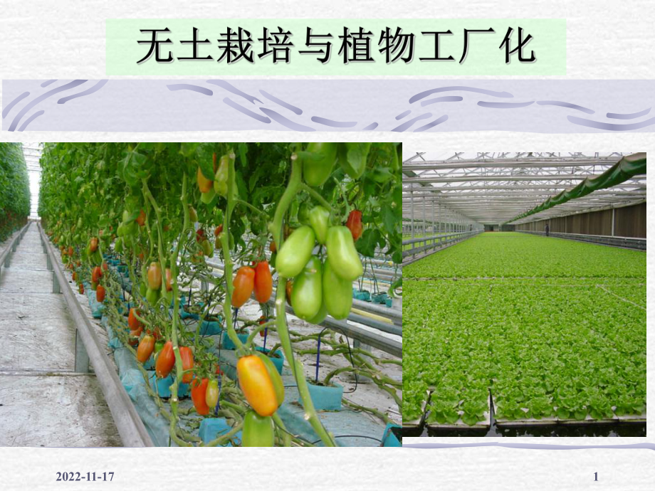 无土栽培与植物工厂化课件.ppt_第1页