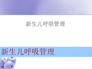 新生儿呼吸管理-课件.ppt