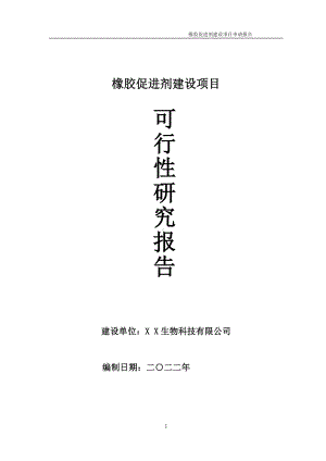 橡胶促进剂项目可行性研究报告备案申请模板.doc