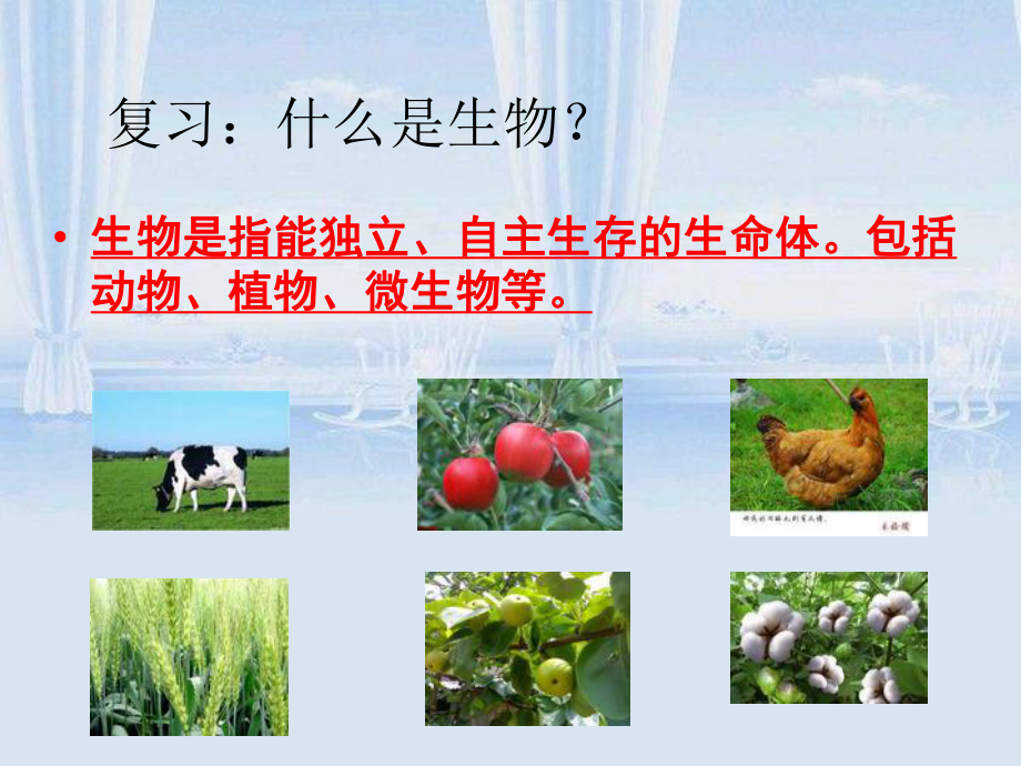 教科版科学《生物多样性的意义》1课件.ppt_第2页