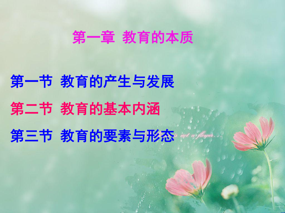 教育学原理-项贤明-第一章-教育的本质课件.ppt_第1页