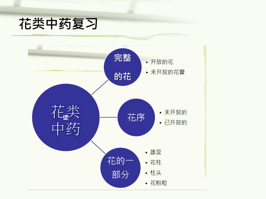 果实种子类中药鉴定课件.ppt_第1页