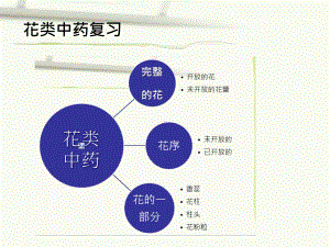 果实种子类中药鉴定课件.ppt