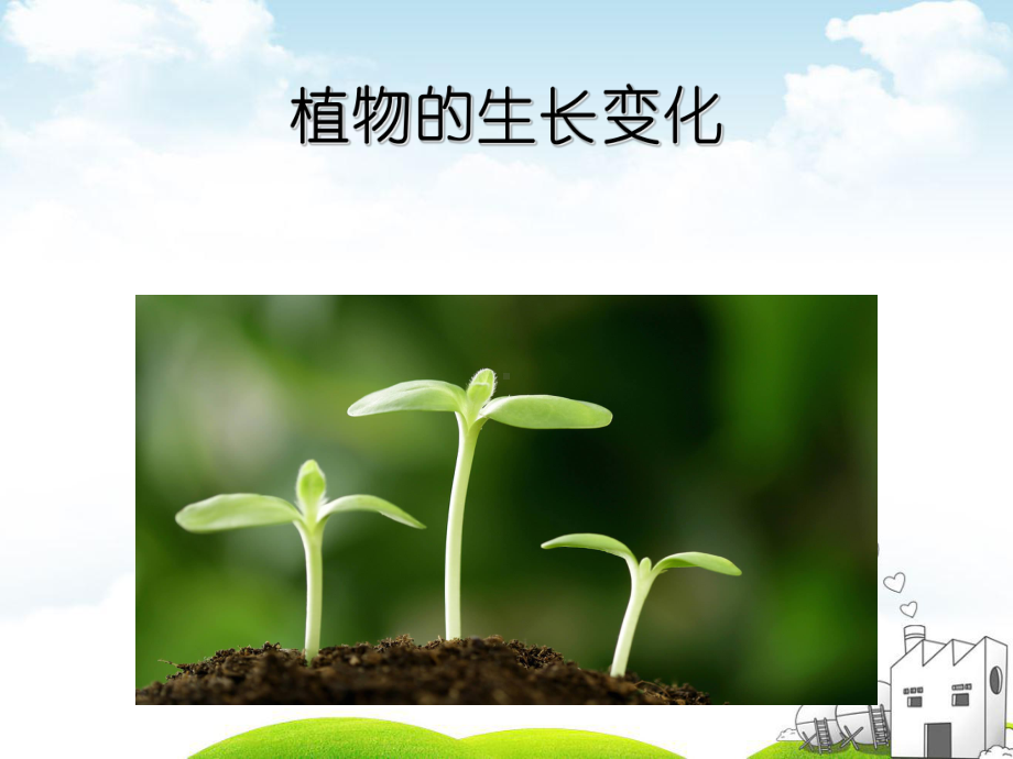 教科版《植物的生长变化》》课件.ppt_第1页