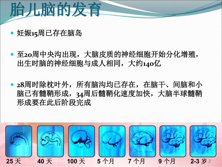 新生儿发育支持护理-课件.ppt_第2页