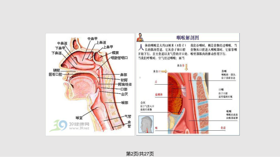 构音障碍与失语症的区别及联系课件.pptx_第2页