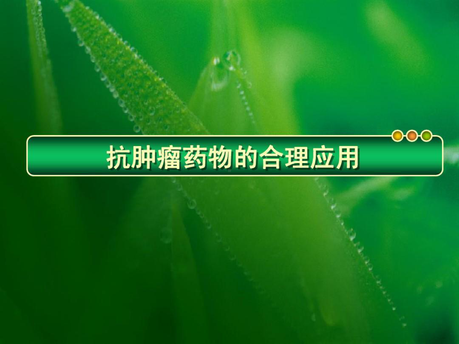 抗肿瘤药物的合理应用共40张课件.ppt_第2页