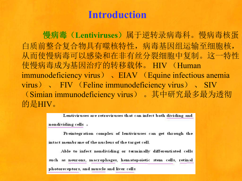 慢病毒载体的构建模板课件.ppt_第2页