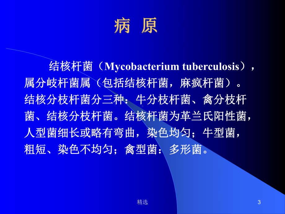 新版结核病(Tuberculosis)课件.ppt_第3页