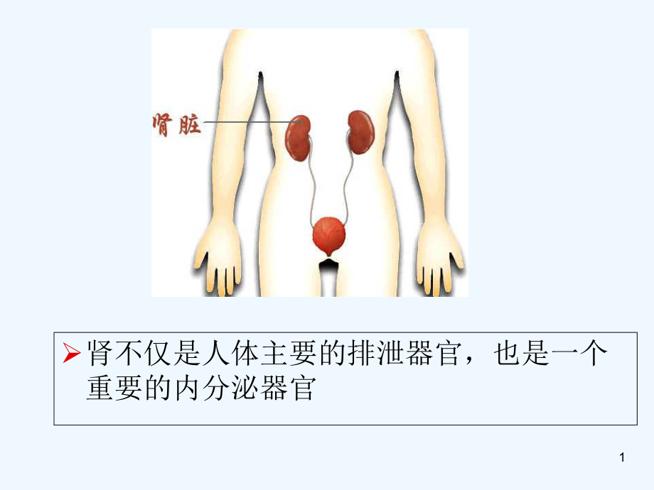 慢性肾小球肾炎(教学)-课件.ppt_第1页