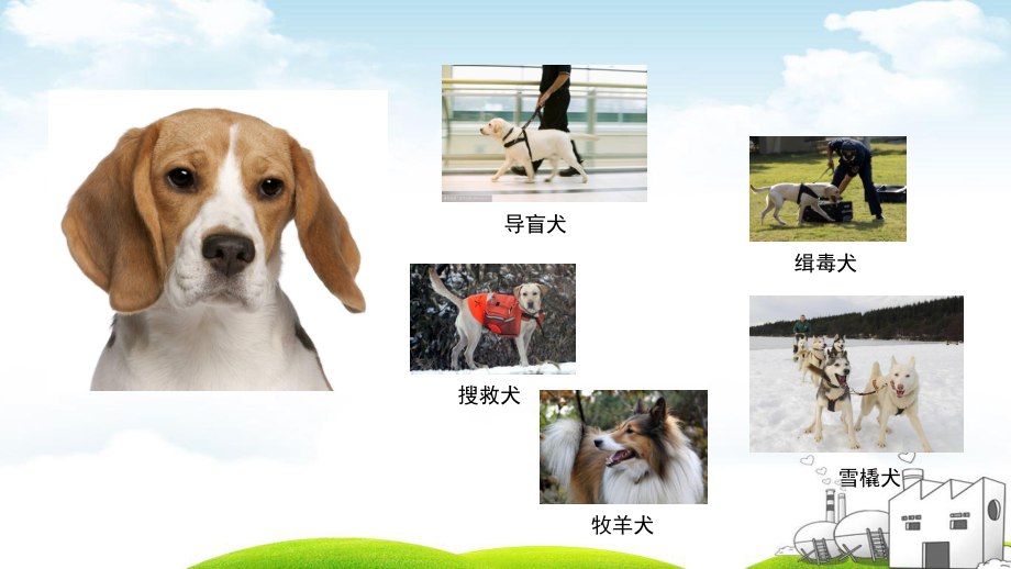 教科版《我们知道的动物》》课件.ppt_第3页