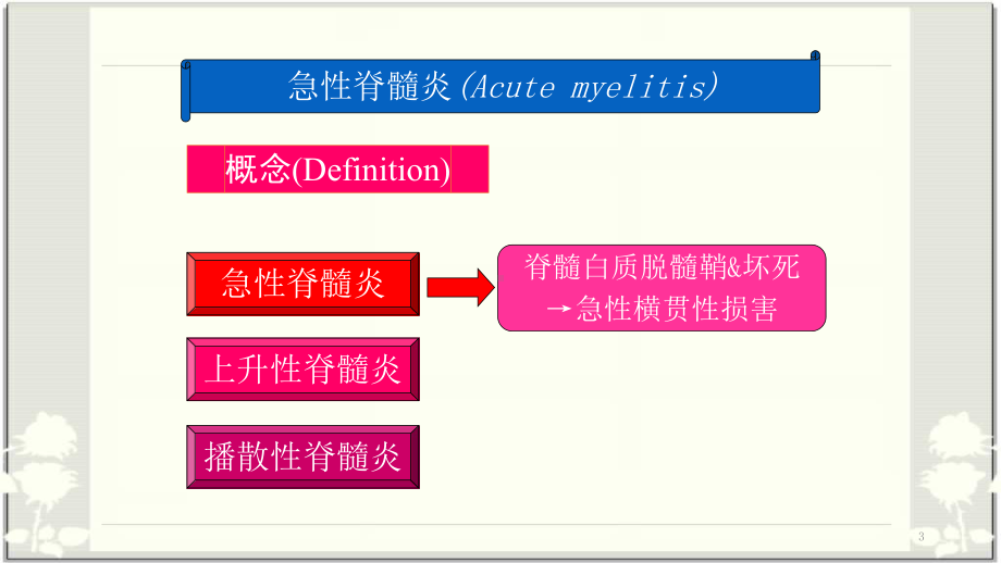 急性脊髓炎参考课件.pptx_第3页