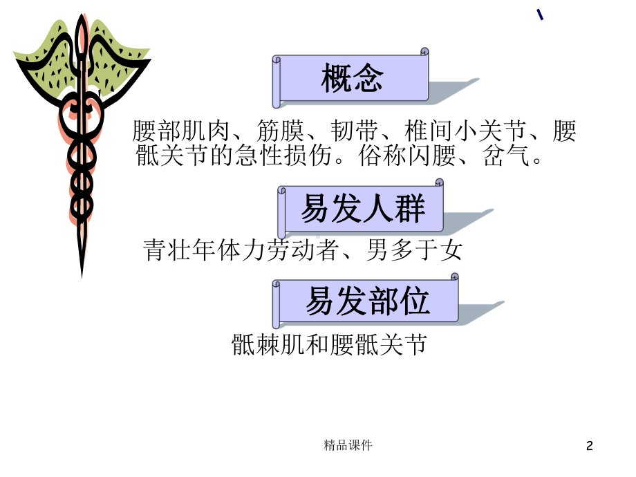 急性腰扭伤和刮痧疗法课件.ppt_第2页