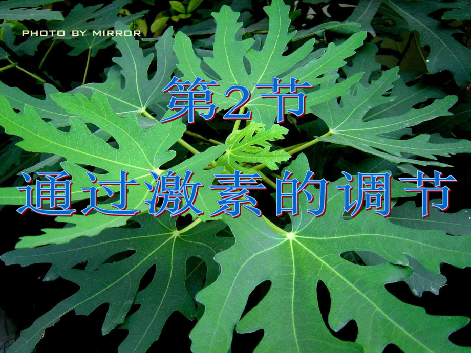 新人教版高中生物必修3通过激素的调节-课件.ppt_第2页