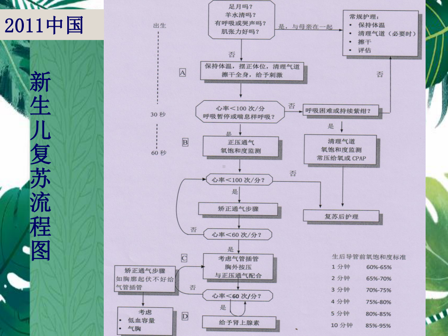 新生儿复苏抢救记录表解读课件.ppt_第2页