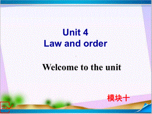 新牛津译林版高中英语Module-10-Unit-4-Welcome-to-the-Unit-课件.ppt-(课件无音视频)