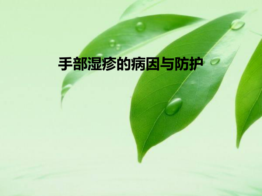 手湿疹的病因与防护课件.ppt_第1页