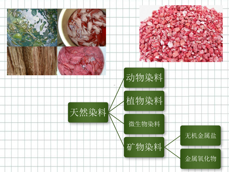 有机天然染料课件.pptx_第2页