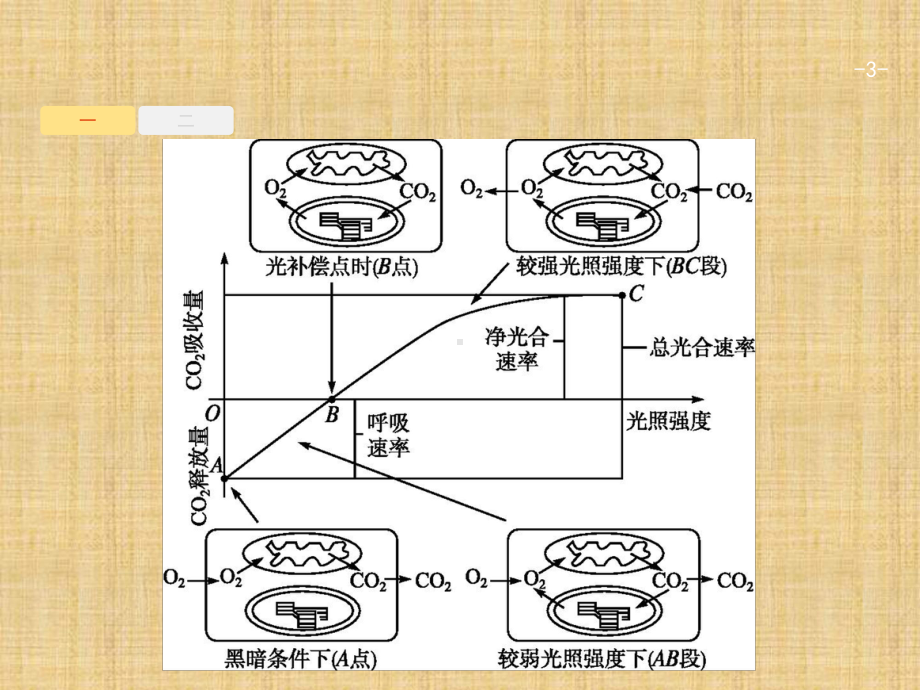 新课标高考生物一轮复习高考提分微课2名师课件.ppt_第3页