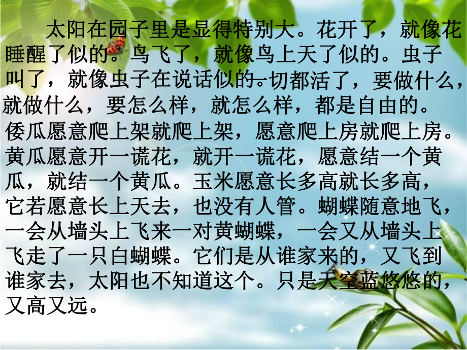 我和祖父的园子第二课时课件汇编.ppt_第2页