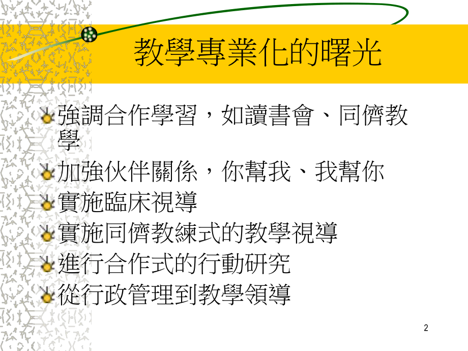 教学专业成长的重要性课件.ppt_第2页