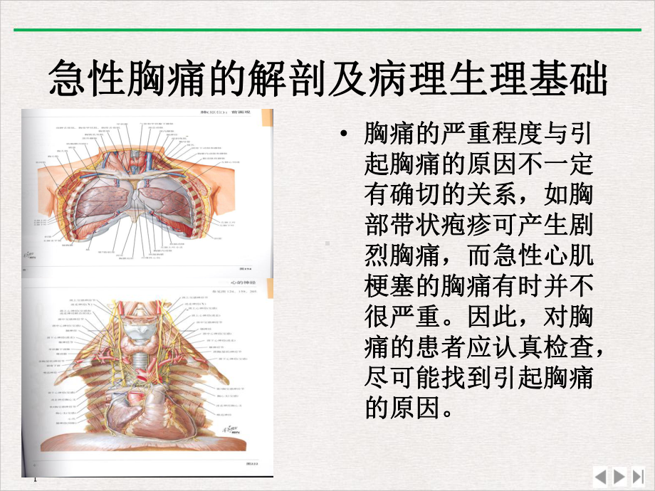 急性胸痛及院前初步诊断处理公开课课件.ppt_第3页