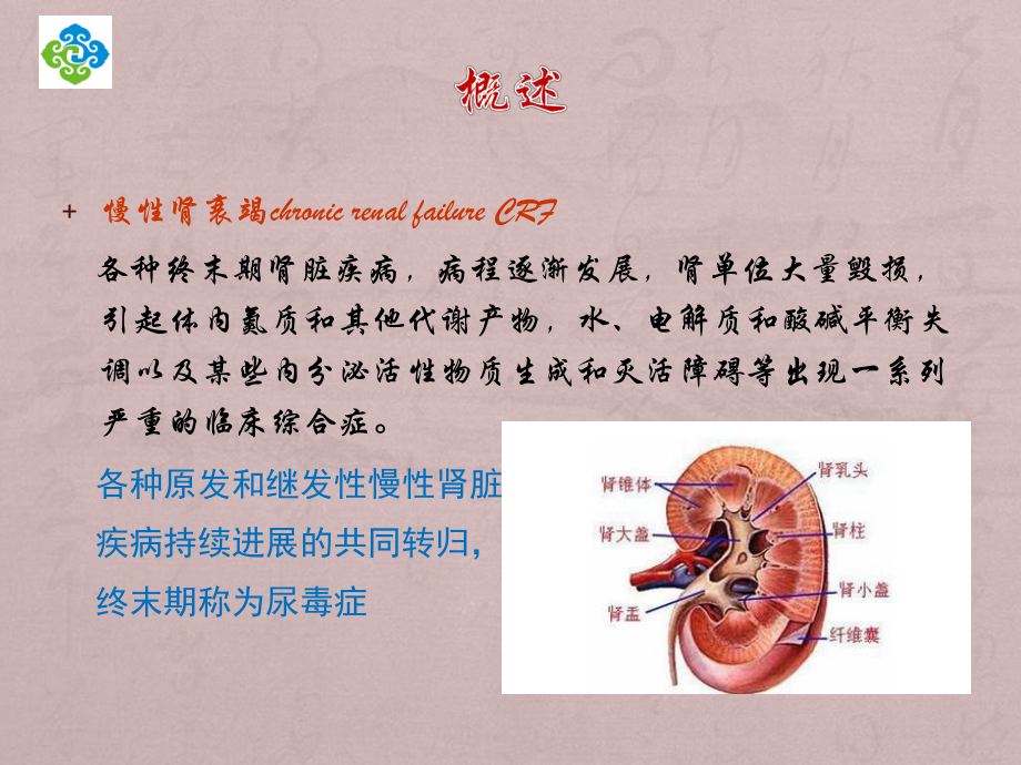 慢性肾功衰竭的护理课件.ppt_第2页