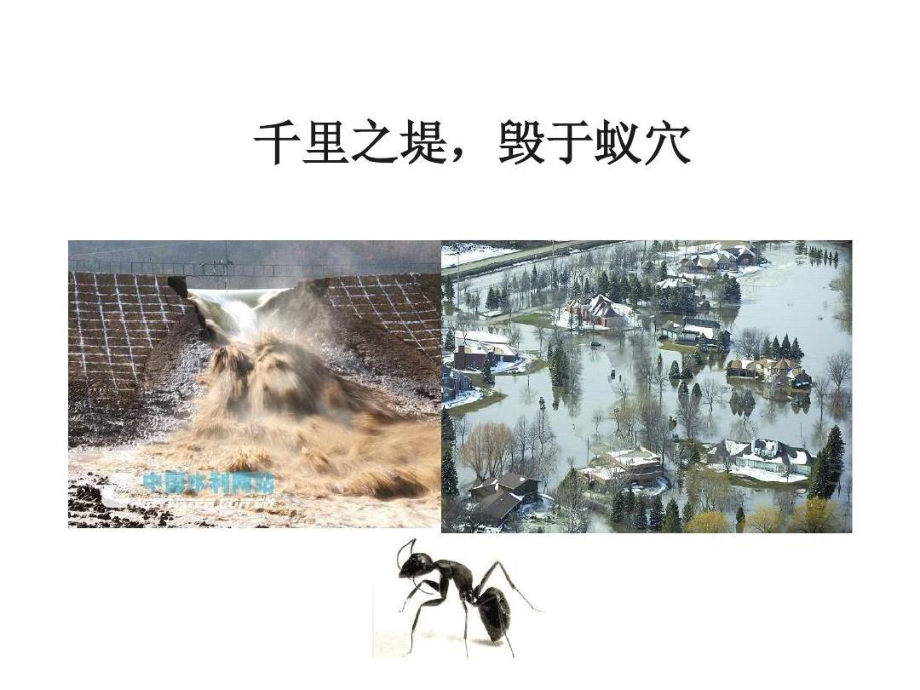 护理服务与精细化管理39张课件.ppt_第2页