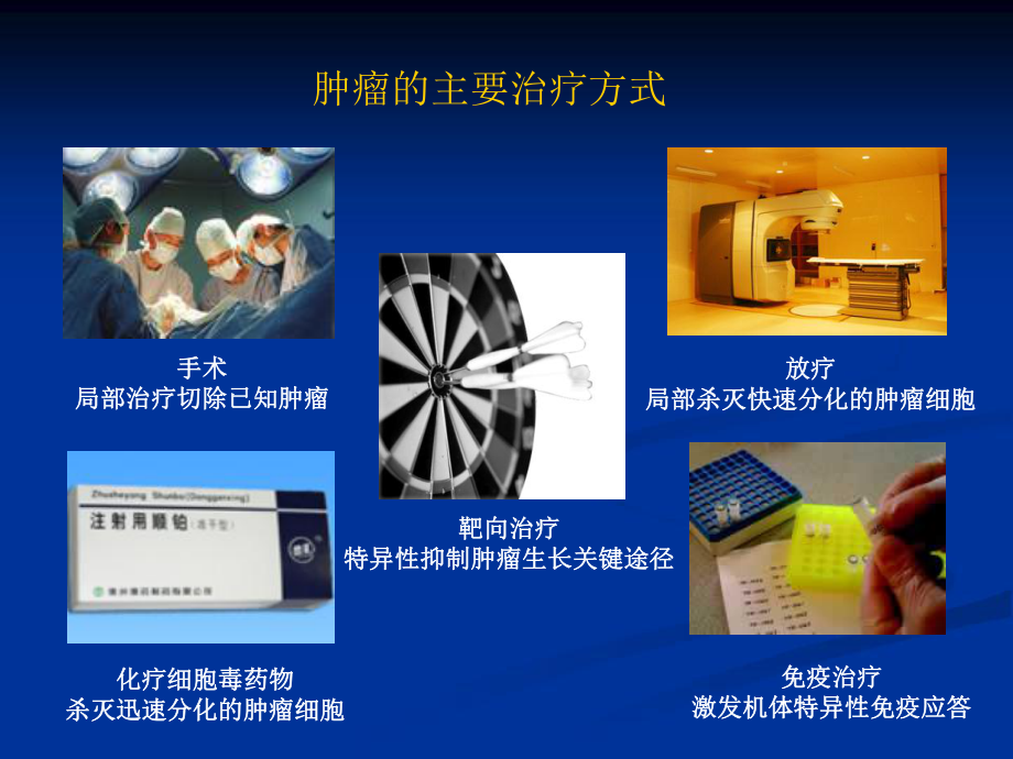 抗肿瘤靶向药物概论课件.ppt_第2页