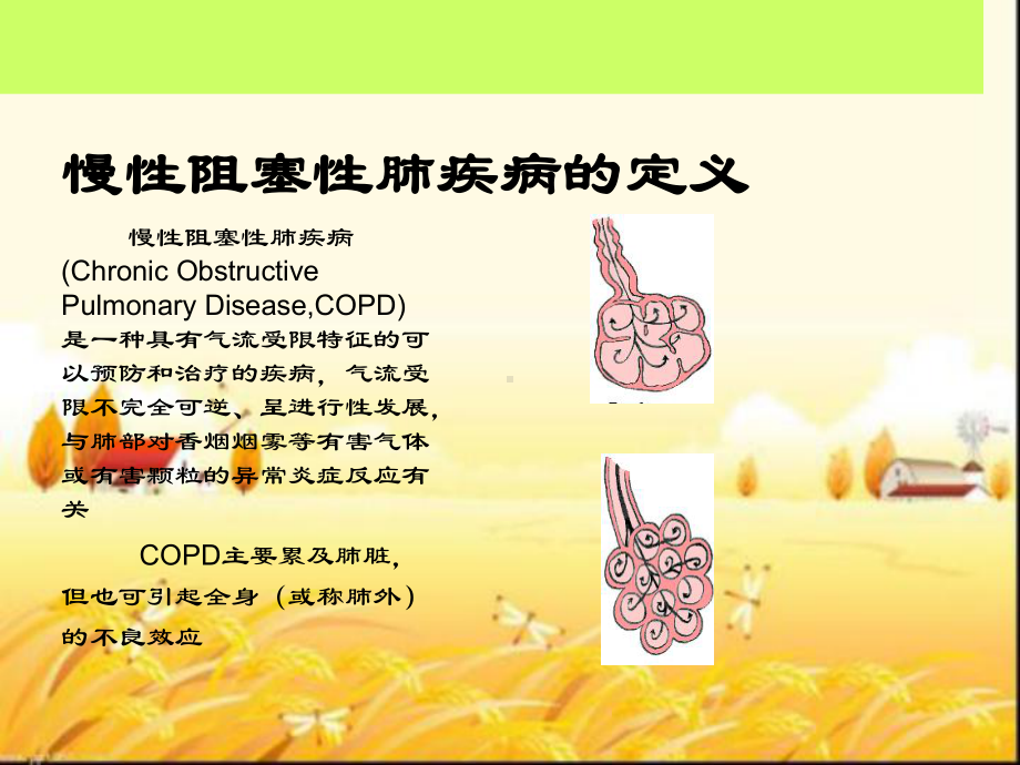 慢性阻塞性肺疾病相关知识课件.ppt_第2页