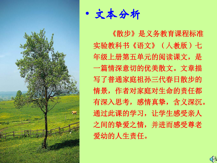 散步-公开课一等奖课件.ppt_第3页