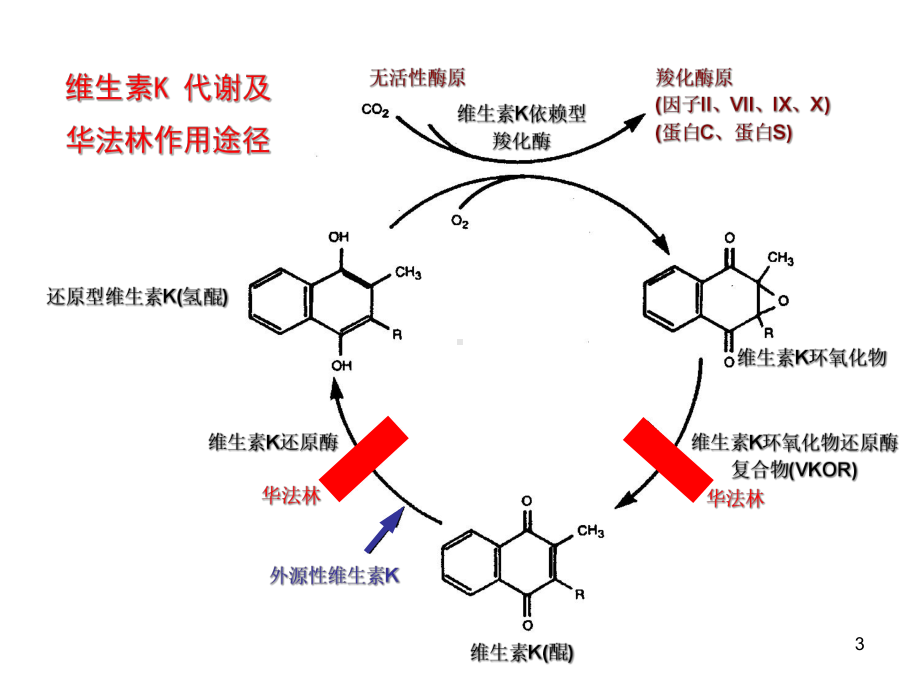 抗凝治疗的合并症课件.ppt_第3页