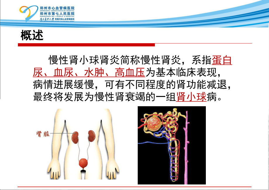 慢性肾小球肾炎课件-2.ppt_第2页