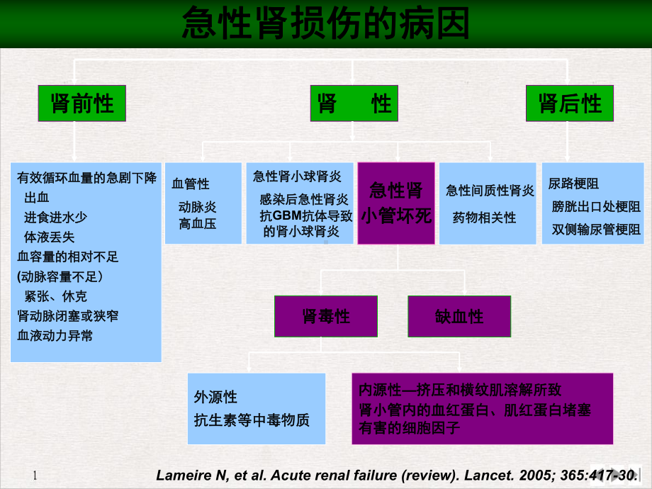 急性肾损伤(版)课件.ppt_第3页