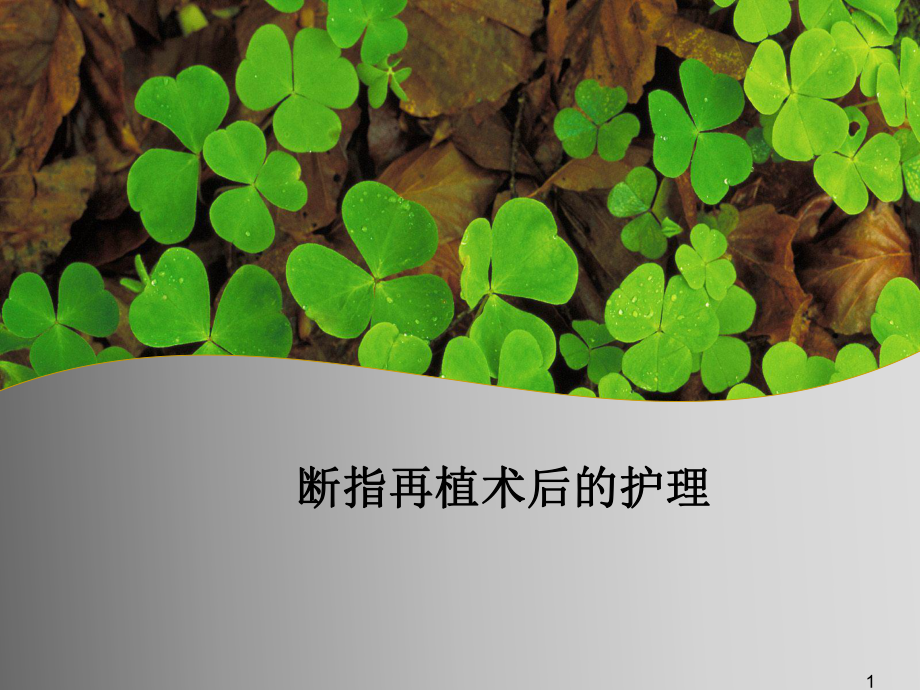 断指再植术后的护理课件.ppt_第1页