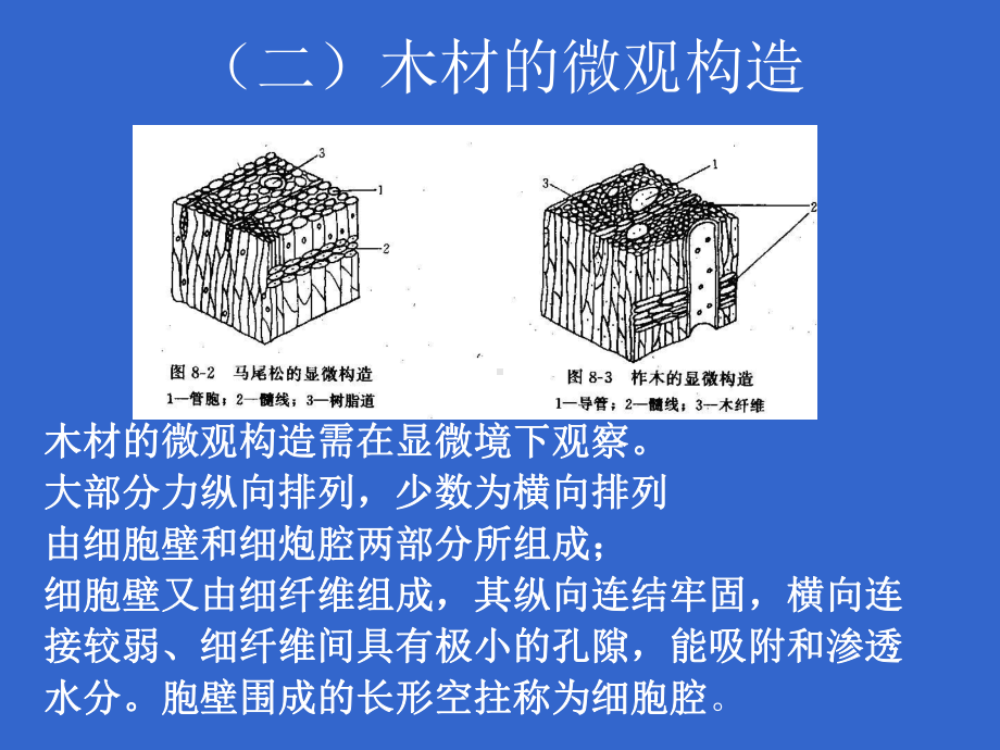 木材基本知识课件.ppt_第3页