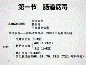 无包膜RNA病毒课件.ppt