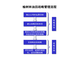 某公司战略规划报告(-51张)课件.ppt