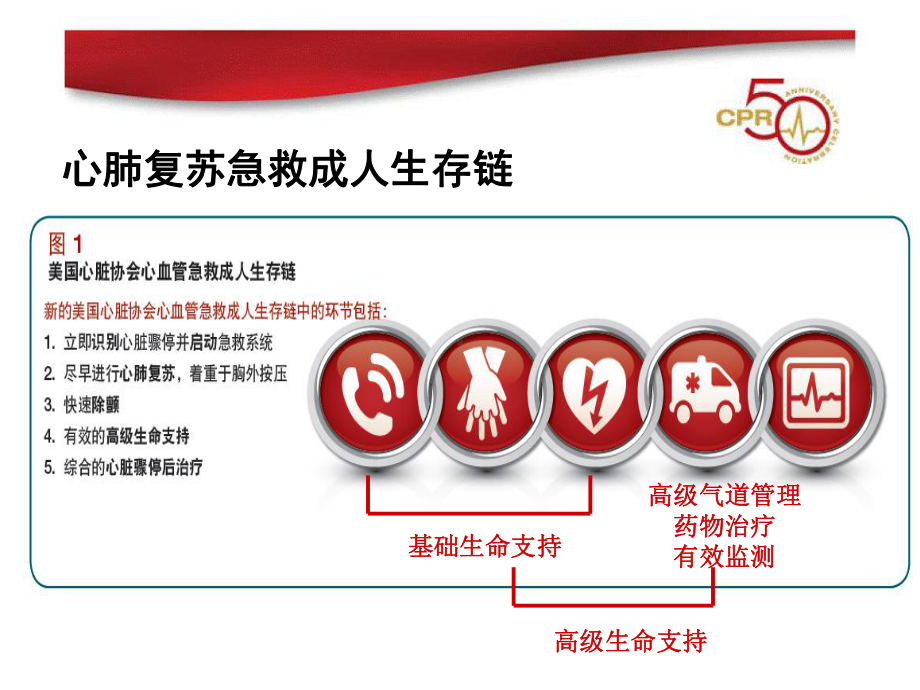 成人高级心血管生命支持(ACLS)方案.ppt_第2页