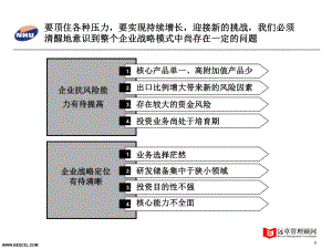 新和成战略研讨会-课件.ppt