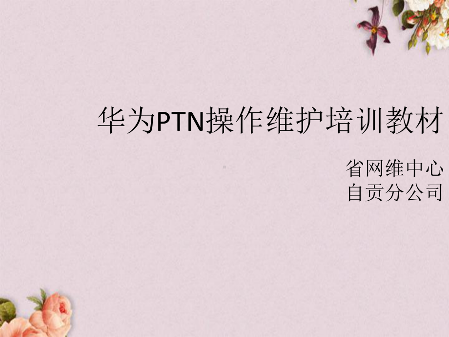 某PTN操作维护培训教材(张)课件.ppt_第1页