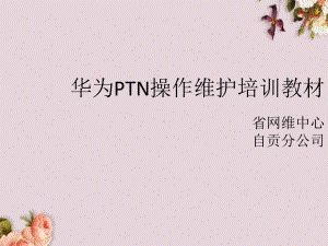 某PTN操作维护培训教材(张)课件.ppt