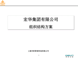 某某集团有限公司组织结构方案(-44张)课件.ppt