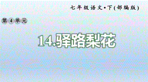 新版新部编版七年语文下册《驿路梨花》课件.ppt