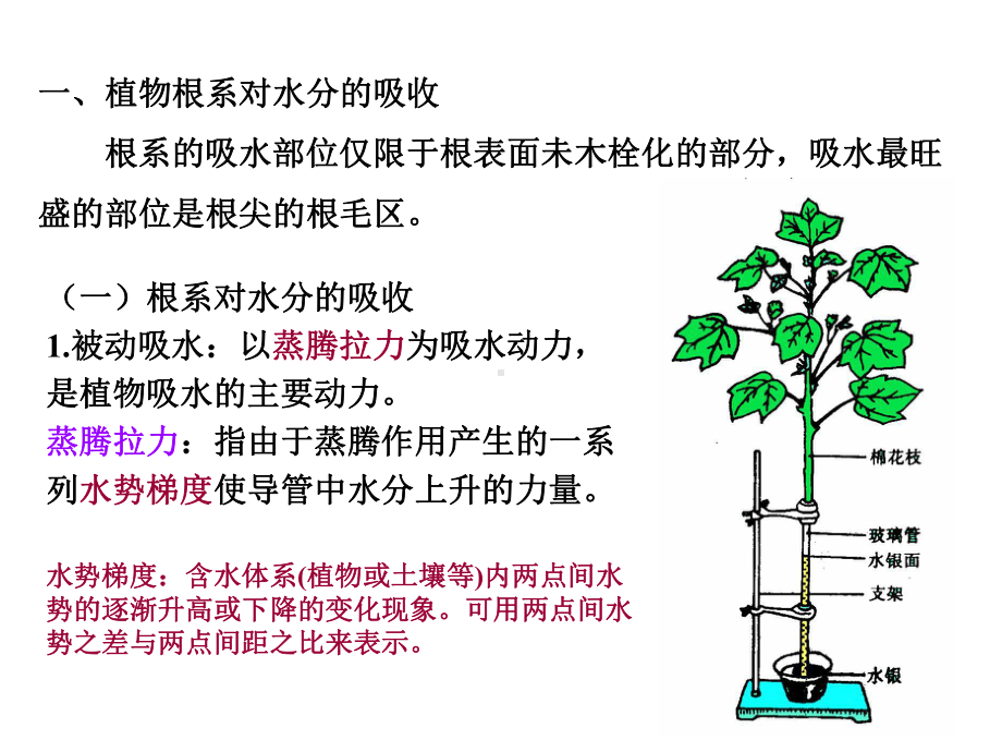 有机营养课件.ppt_第3页