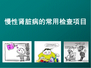 慢性肾脏病的常用检查项目医学课件.ppt