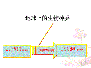 无脊椎动物的主要类群初中生物课件.ppt