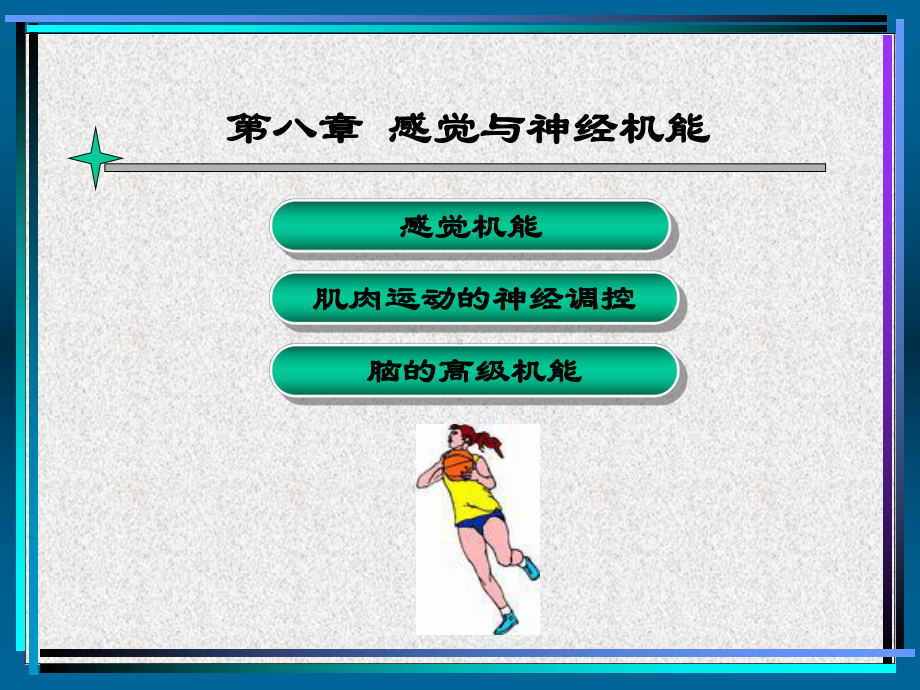 感觉与神经系统课件.ppt_第2页