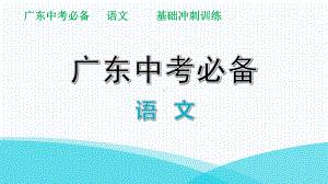 文言文阅读冲刺训练(十九)课件-广东省中考语文分类复习.pptx