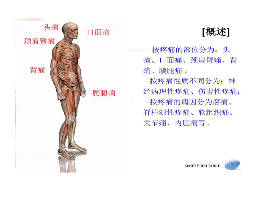 慢性疼痛诊断和治疗63张课件.ppt_第3页